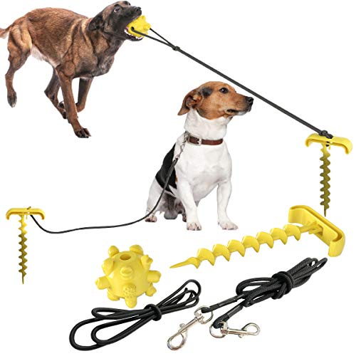 Yellow stakes for dog