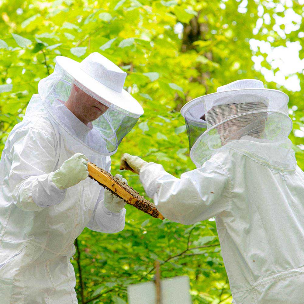 TheLAShop XL Beekeeping Gloves - Premium Goatskin Protective Gloves with Long Sleeves for Beekeepers & Honey Harvesting | Ideal for Apiary Work, Hive Inspection & Bee Handling