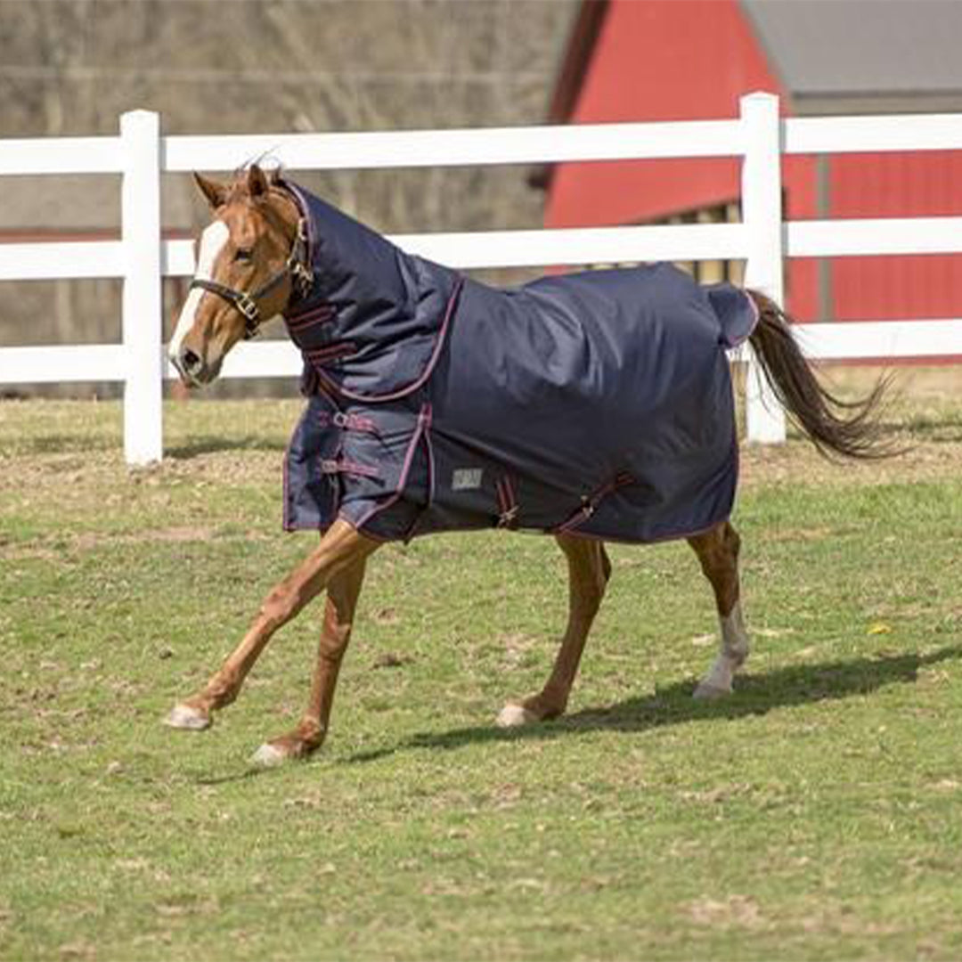 TuffRider Heavyweight 1200D Detachable Neck Horse Turnout Blanket - Warm Winter Stable Blanket for Cold Weather Riding & Outdoor Protection