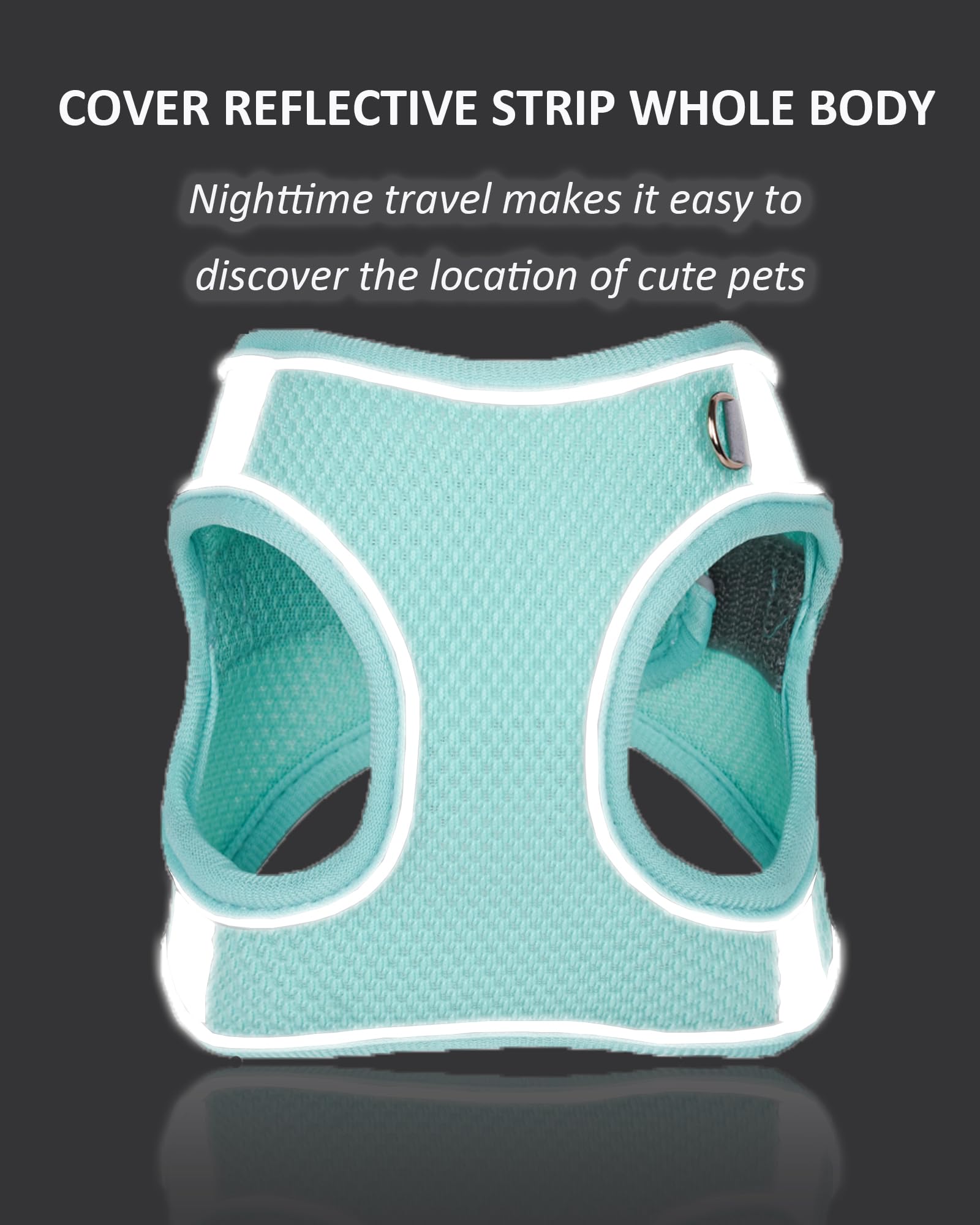 Solmoony No-Pull Dog Harness for Small, Medium & Large Dogs - Breathable Mesh Step-in Puppy Harness with Leash Set (Pink, XXS) - Perfect for Walking, Training & Outdoor Adventures