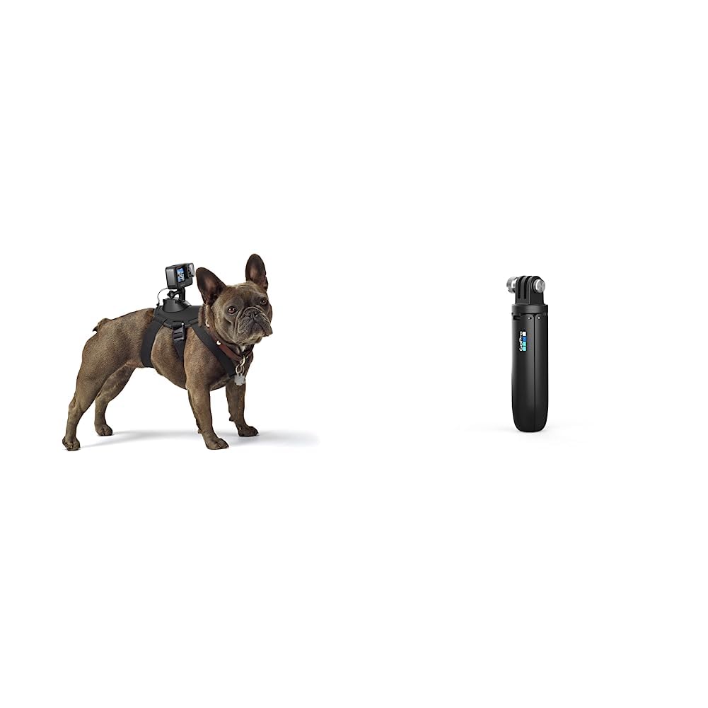 GoPro Fetch Dog Harness - Official Mount for GoPro Cameras | Mini Extension Pole & Tripod Included | Perfect for Pet Adventures, Hiking & Action Shots