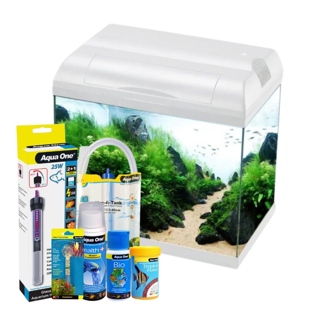Ecostyle 37 Aquarium Bundle - 21 Litres Fish Tank Kit with LED Light & Filter - Perfect for Home, Office, or Classroom Aquarium Setup