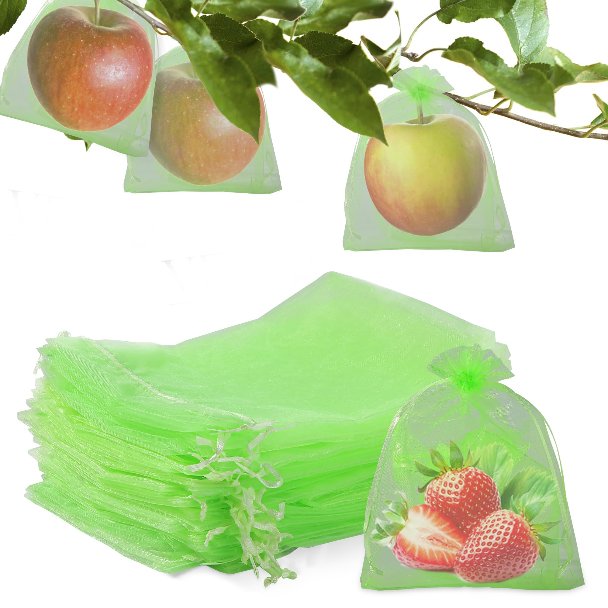 50PCS 6