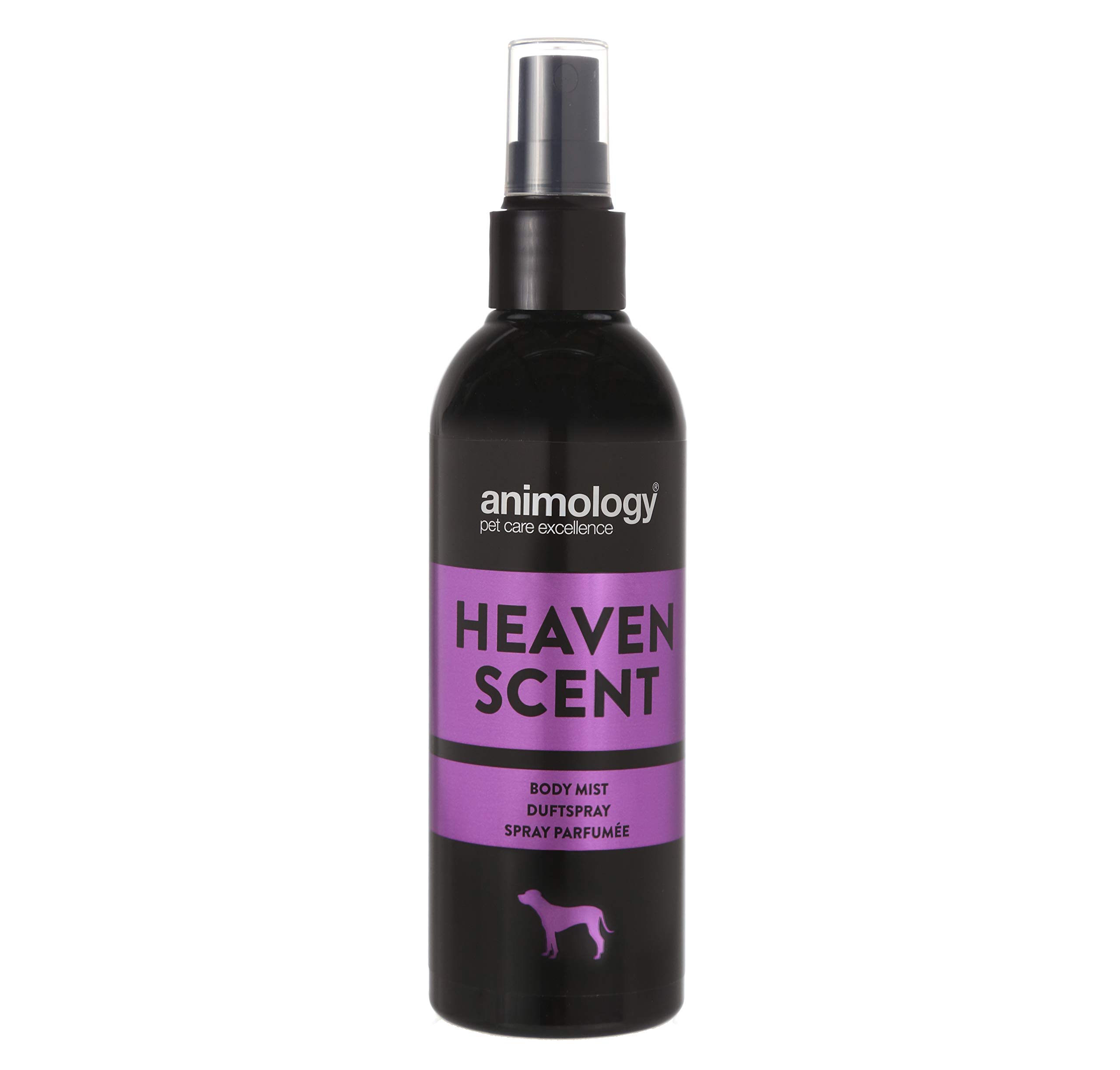 Animology Heaven Scent Body Mist - 150ml Floral Fragrance for Women | Long-Lasting Perfume Spray for Daily Use, Work & Special Occasions