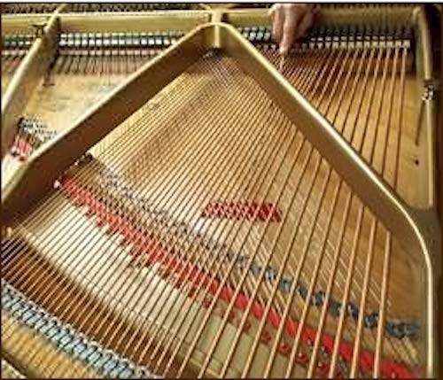 Premium Spurlock Grand Piano Soundboard Duster & Cleaning Kit - Gentle Dust Removal for Piano Maintenance & Protection - Perfect for Home, Studio & Concert Hall Use