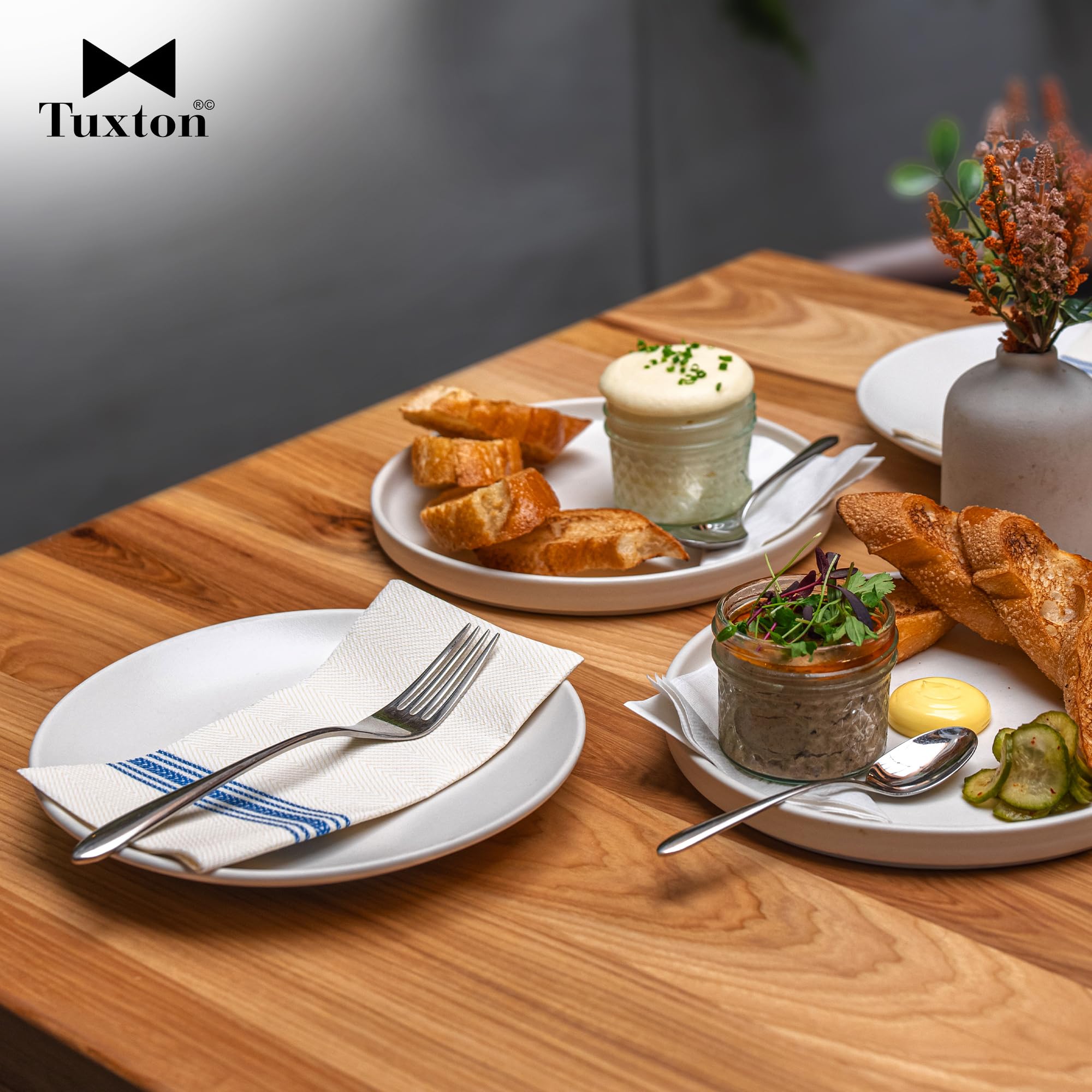 Tuxton Zion Matte White 10-1/4-Inch Dinner Plates - Set of 12 | Scratch & Chip Resistant | Lead & Cadmium Free | Dishwasher, Microwave & Oven Safe | Perfect for Restaurants, Catering & Home Dining