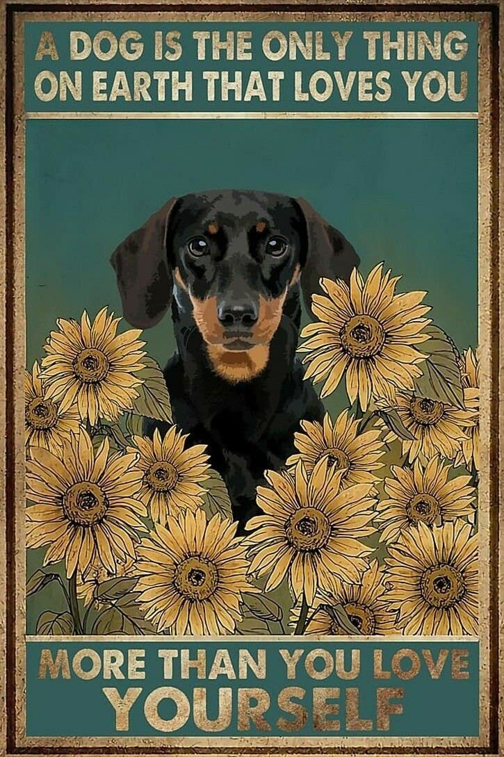 1000 Piece Shepherd Dog & Sunflower Wooden Puzzle - Stress Relief Jigsaw for Adults, Teens & Kids - Educational Learning Toy for Family Game Night & Classroom Activities