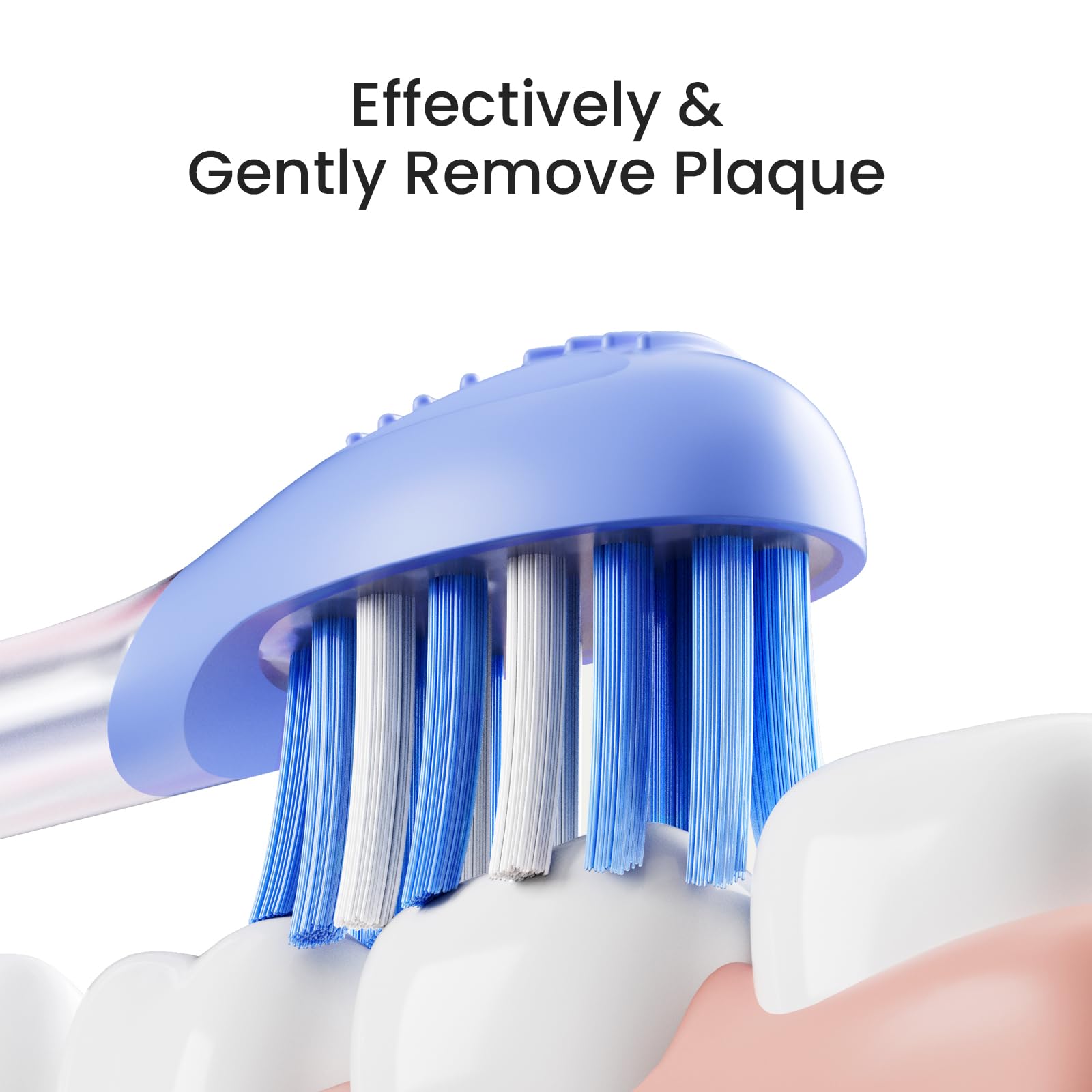 Oclean Ease Sonic Electric Toothbrush - USB Rechargeable, 3 Brush Heads & Timer for Home & Travel