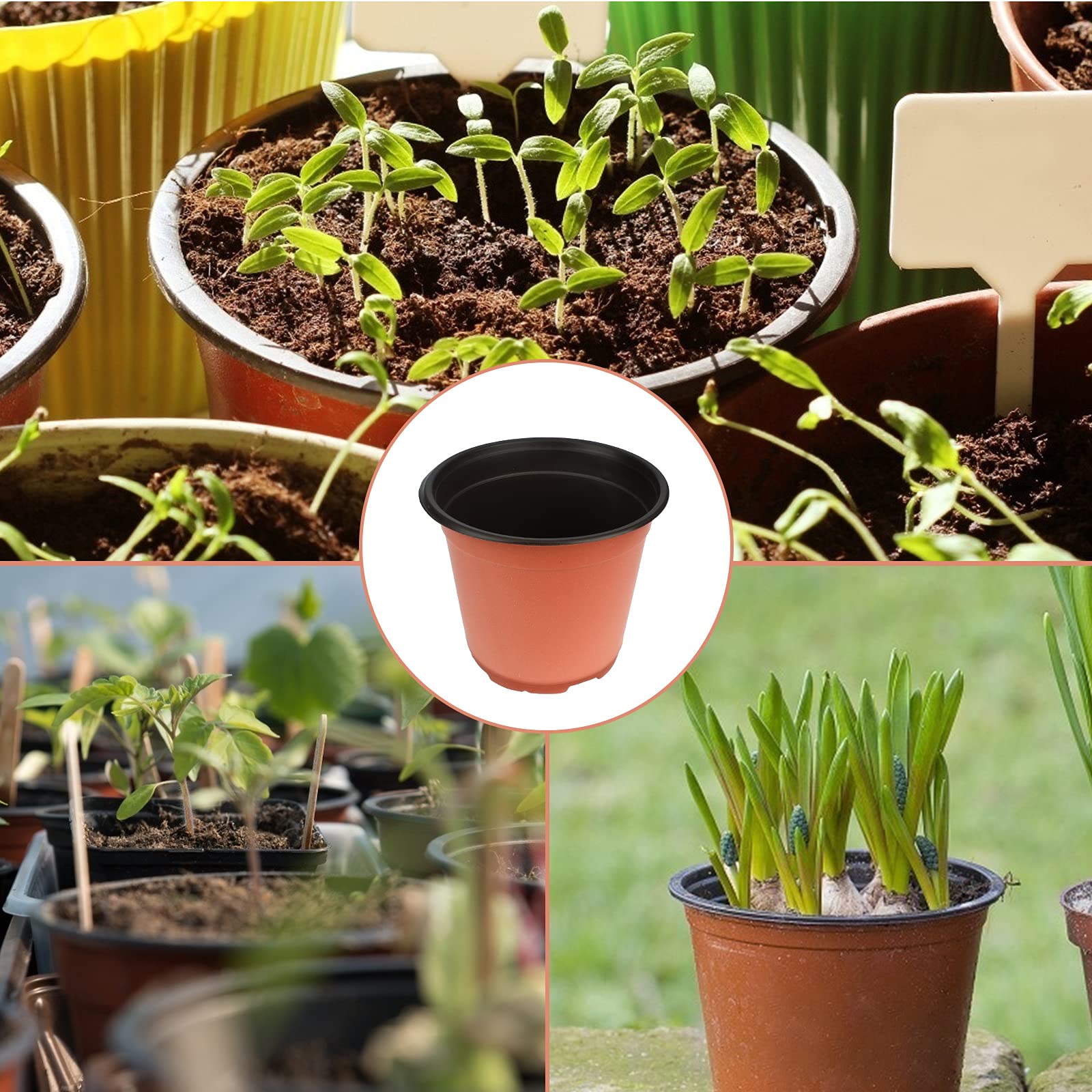 KINGLAKE 50 Pack 6 Inch Plastic Seedling Pots - Reusable Nursery Plant Containers for Flowers, Herbs, Vegetables | Indoor Gardening, Greenhouse & Outdoor Planting Starter Trays