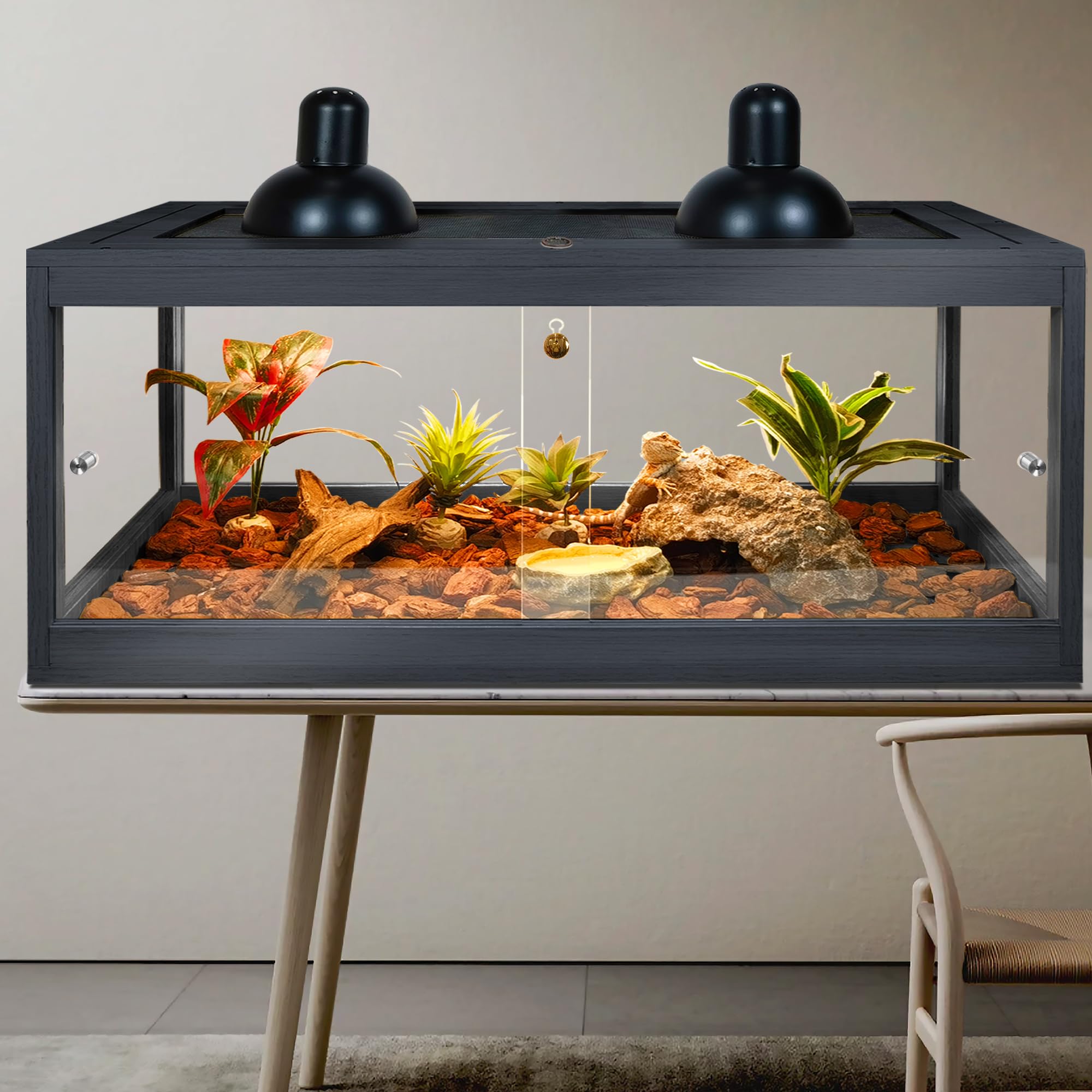 81 Gallon Bearded Dragon Tank - 48