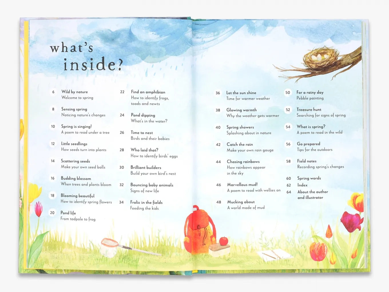 **A Field Guide to Spring: Discover Nature's Wonders - Perfect for Hiking, Camping & Outdoor Adventures (Field Guide Series)**