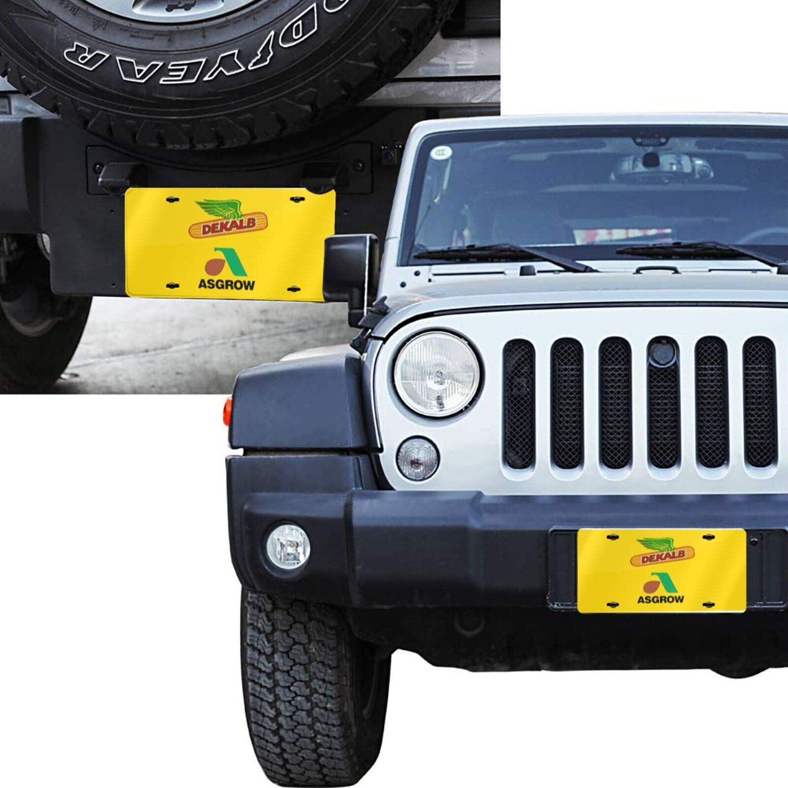 Custom Aluminum License Plate Frame Cover - 6