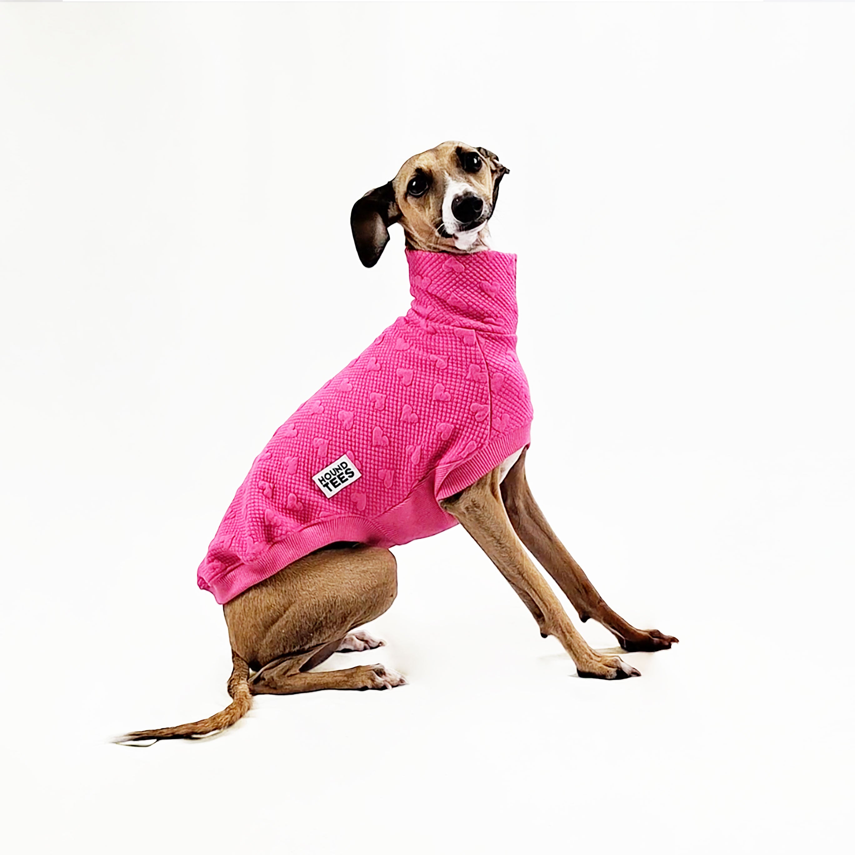 Italian Greyhound Quilted Sleeveless Sweater for Dogs - Warm & Stylish Winter Vest for Small Dogs - Perfect for Outdoor Walks & Indoor Lounging
