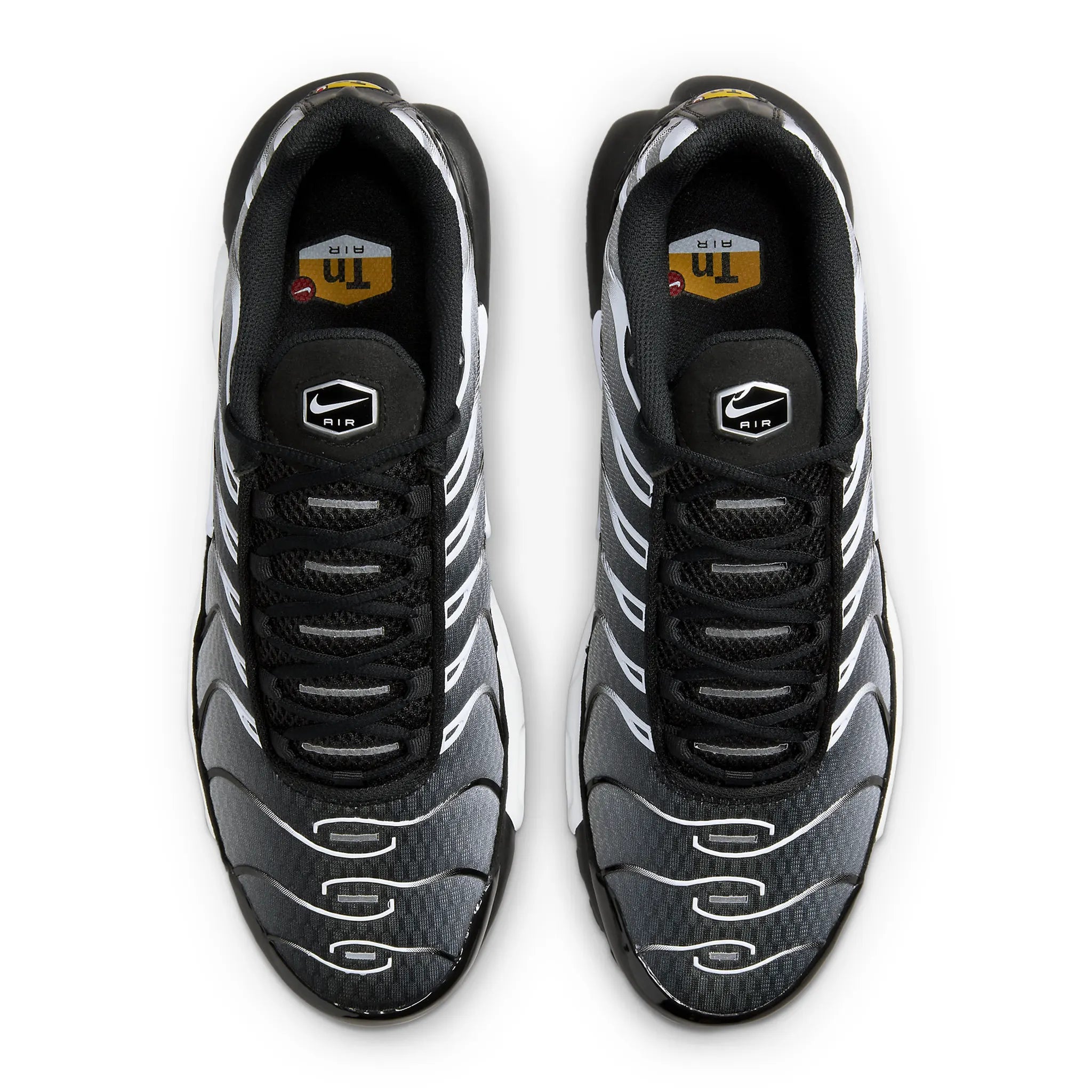 Nike TN Air Max Plus Running Shoes for Men - Black & Metallic Silver - Comfortable Cushioned Sneakers for Jogging, Gym & Casual Wear