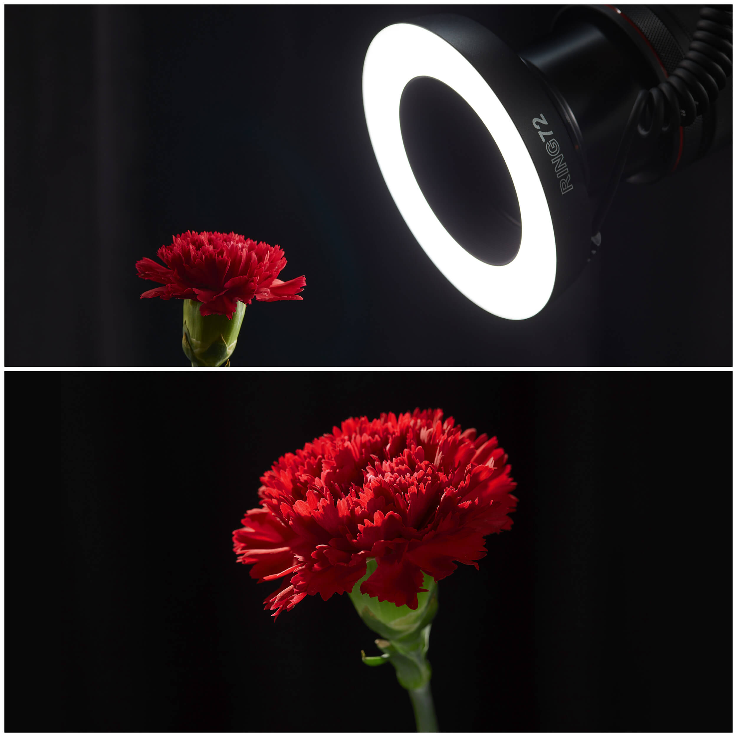 RING72 8W Daylight Balanced LED Macro Ring Light for DSLR Camera Photography - Perfect for Close-Up Shots, Product Photography & Videography