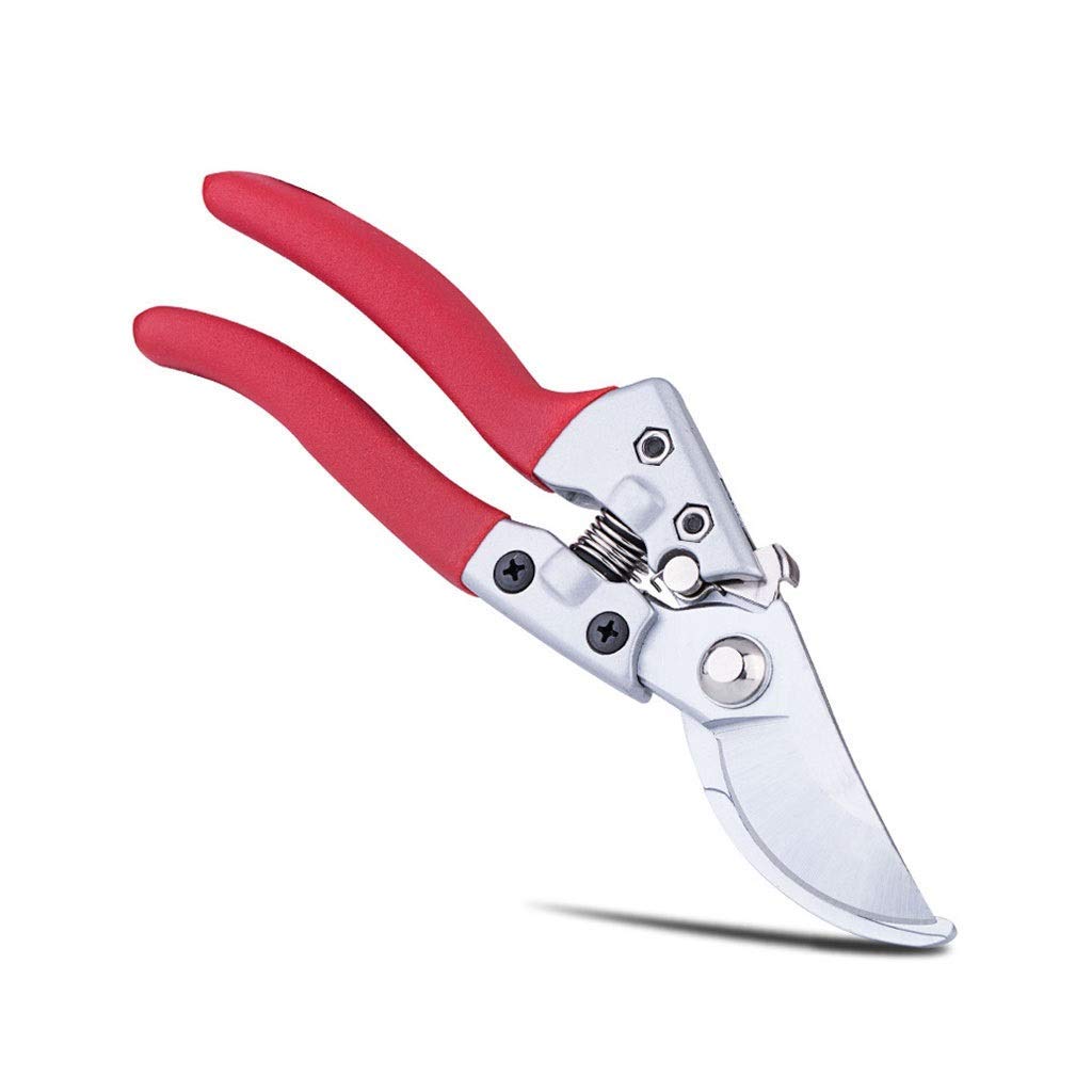 Professional Garden Pruning Shears - Sharp Bypass Pruner for Flowers & Branches | Manual Branch Trimmer & Plant Scissors | Ergonomic Red Gardening Tools for Women | Perfect for Trimming Roses, Shrubs & Indoor Plants