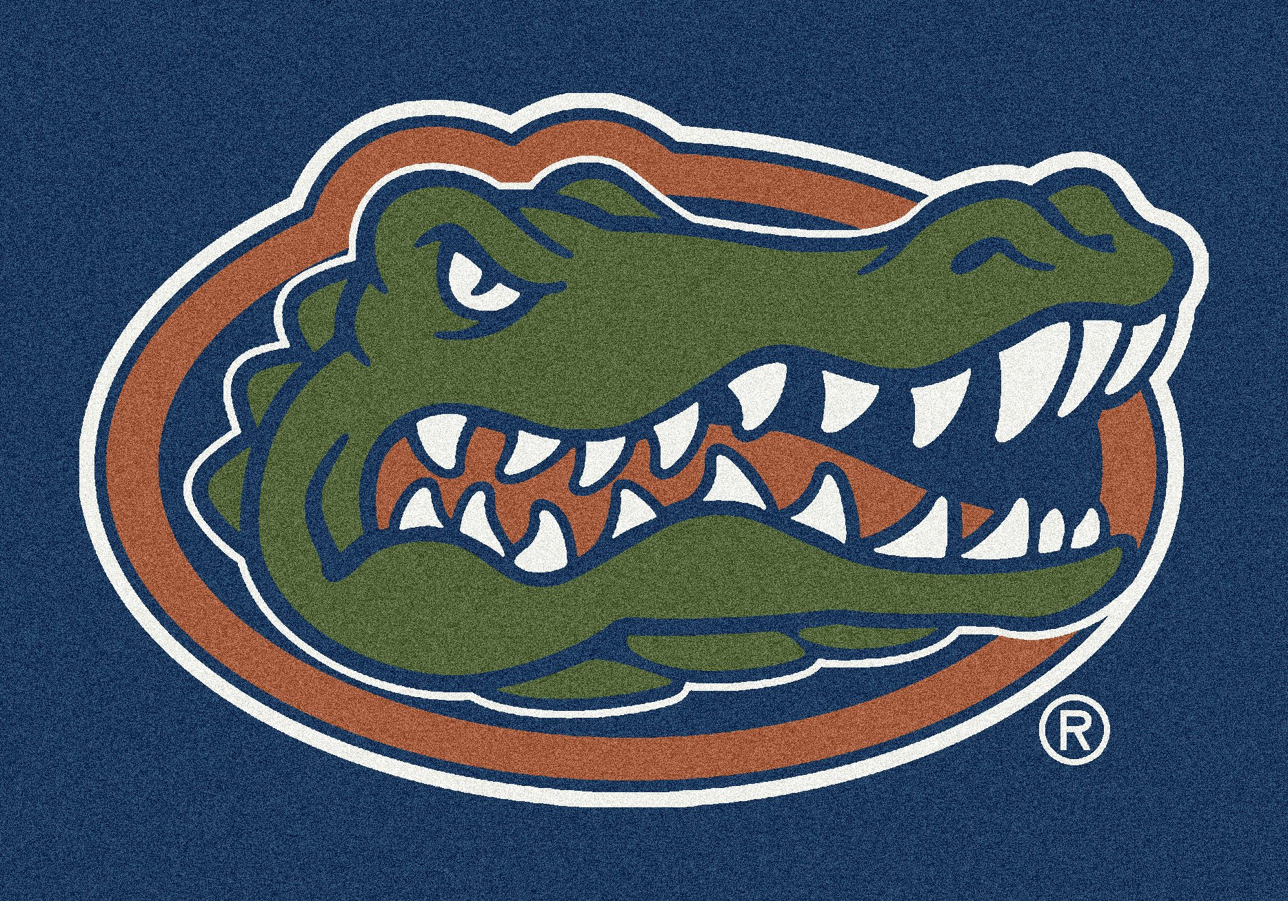 Florida Gators NCAA College Team Spirit Floor Mats - Non-Slip Durable Indoor/Outdoor Rug for Game Room, Dorm, or Fan Cave Decor
