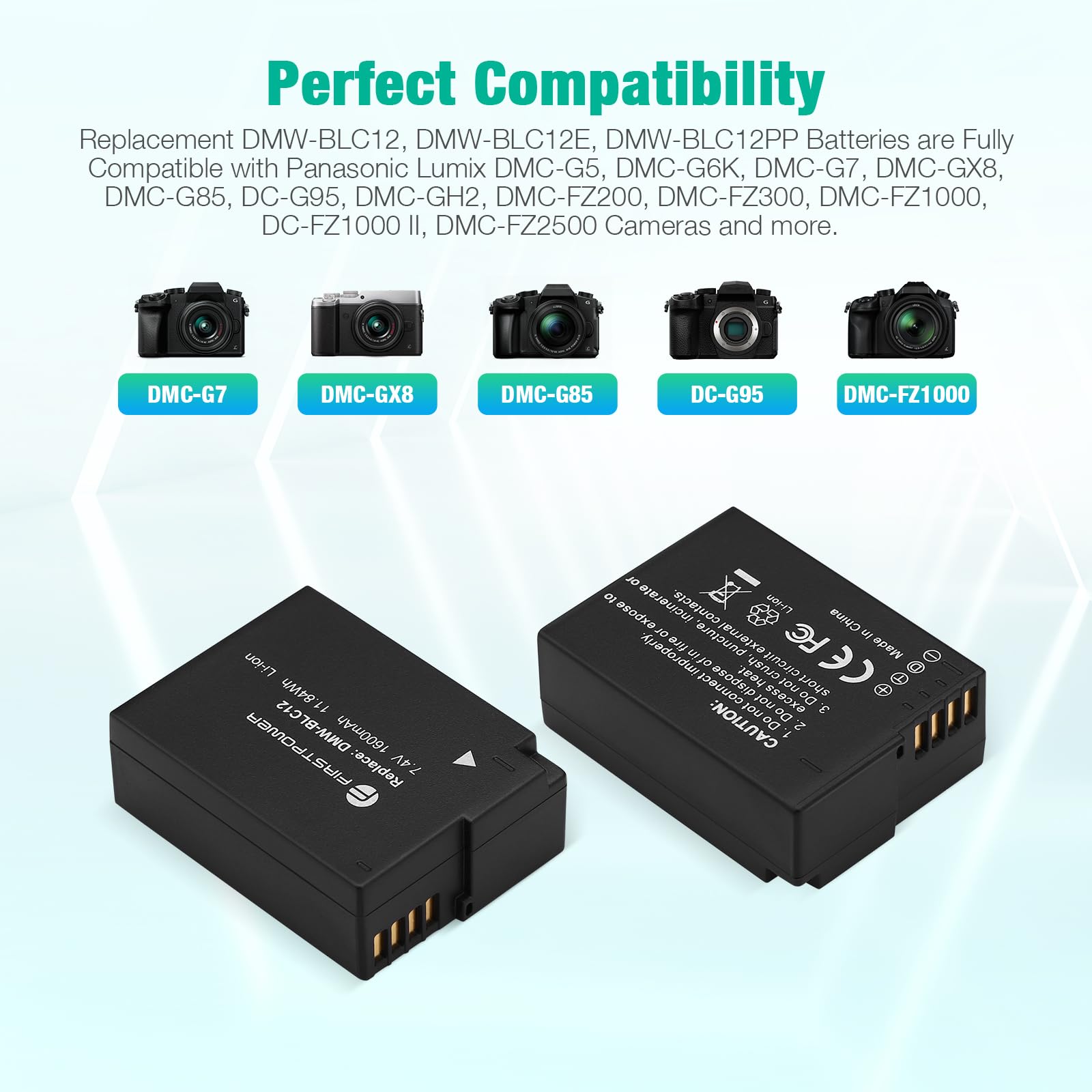 FirstPower DMW-BLC12 Replacement Battery & Dual USB Charger for Panasonic Lumix G7, G85, G95, FZ1000, GH2, G5, G6, GX8, FZ200, FZ300 Digital Cameras - Perfect for Travel, Vlogging & Professional Photography