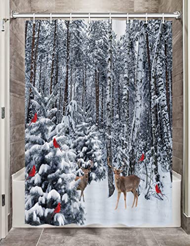 Winter01