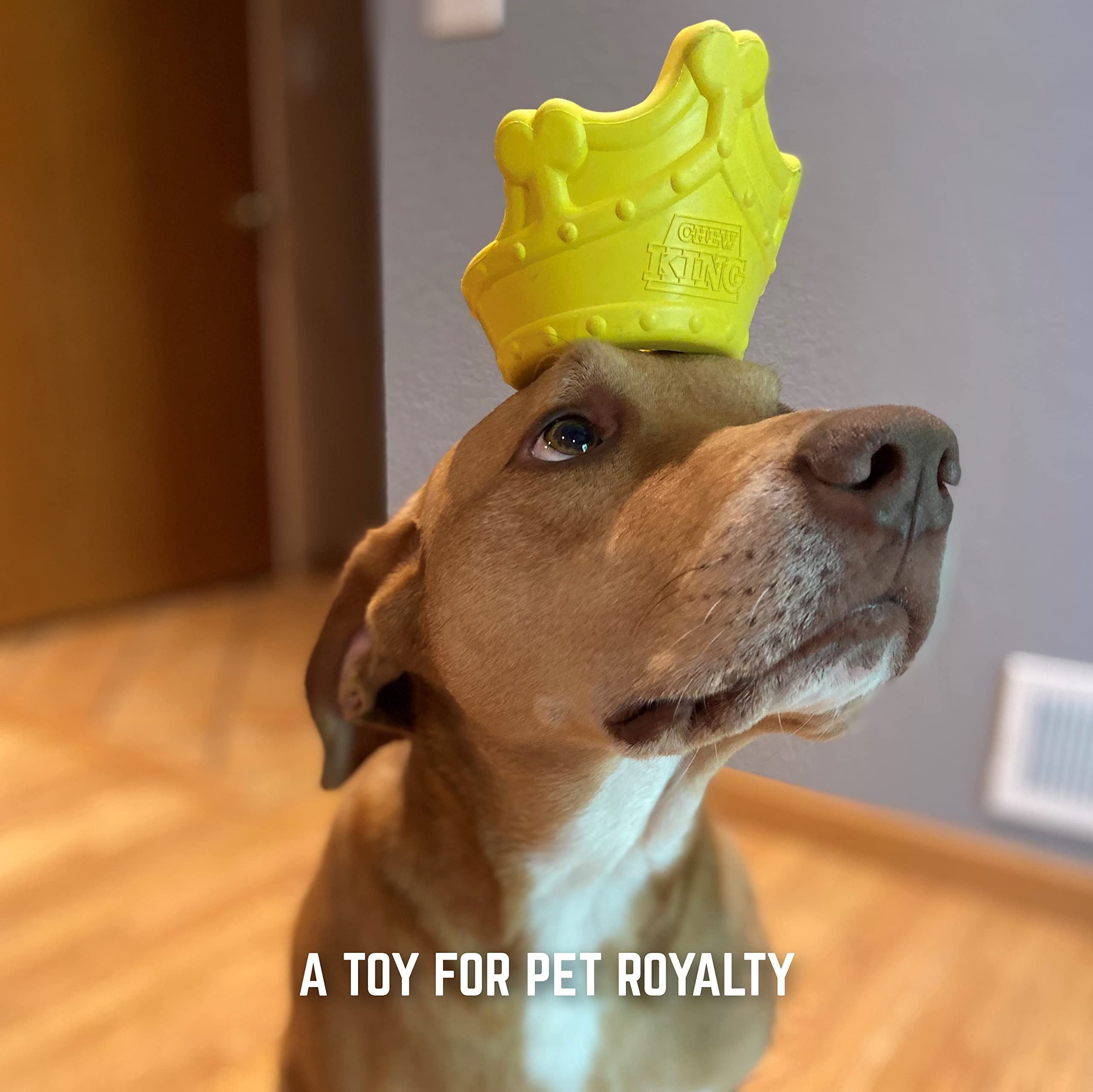 Durable Crown Chew Toy & Ball for Dogs – Interactive Pet Chewing Toy for Puppies & Adult Dogs – Perfect for Teething, Playtime & Training