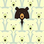 Black Bear