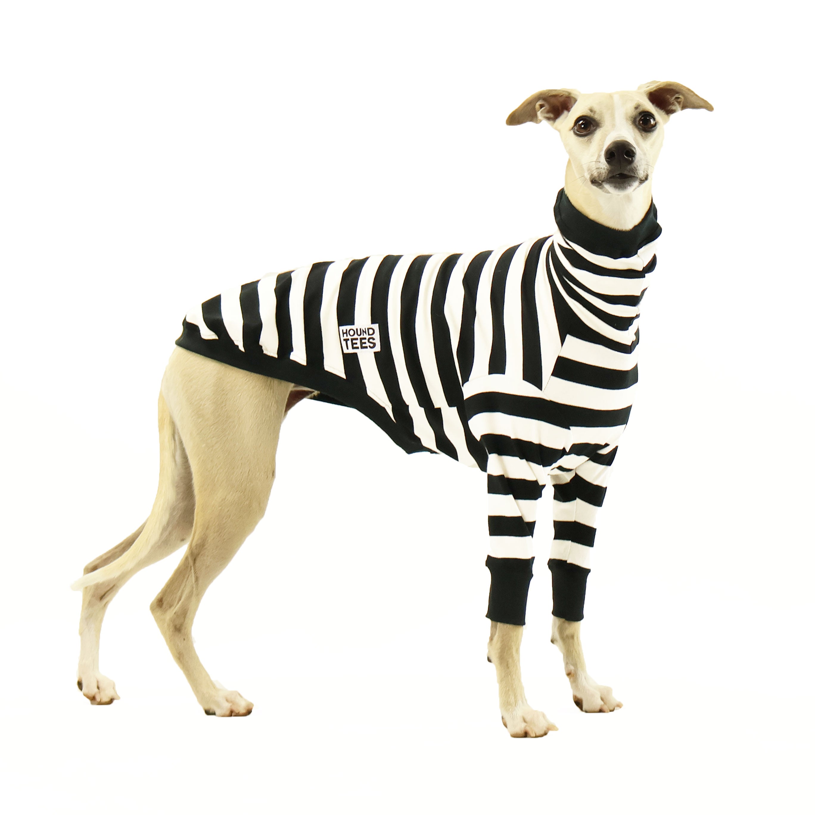 Jailbreak Whippet Long Sleeve Hound T-Shirt for Men & Women - Comfortable Dog Lover Apparel for Casual Wear & Outdoor Activities