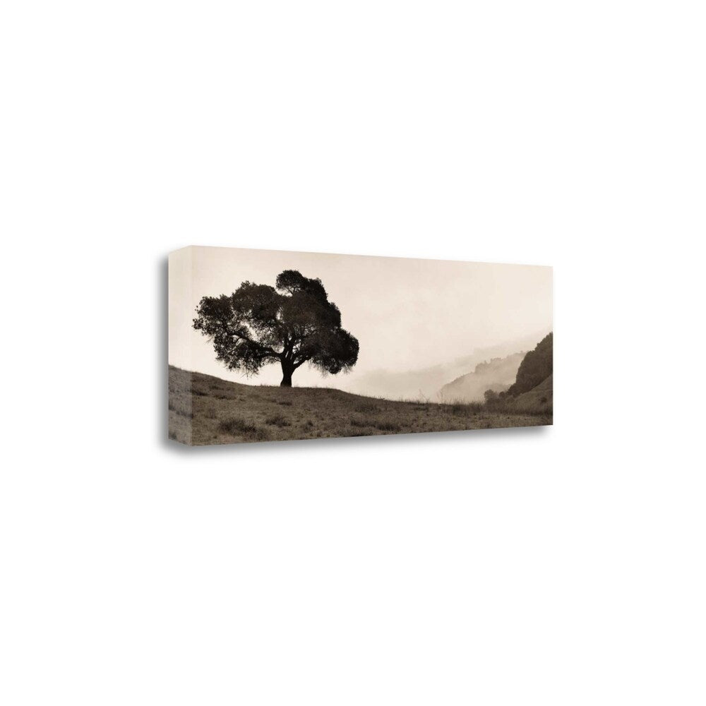 Black Oak Tree Fine Art Giclee Print by Alan Blaustein - Gallery Wrapped Canvas Wall Art - Ready to Hang - Perfect for Living Room, Bedroom & Office Decor