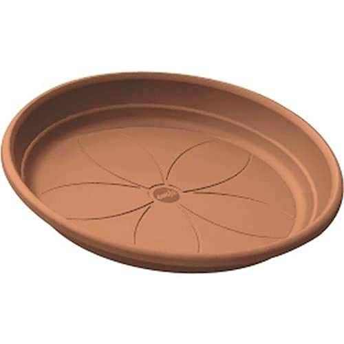 Terracotta Orange