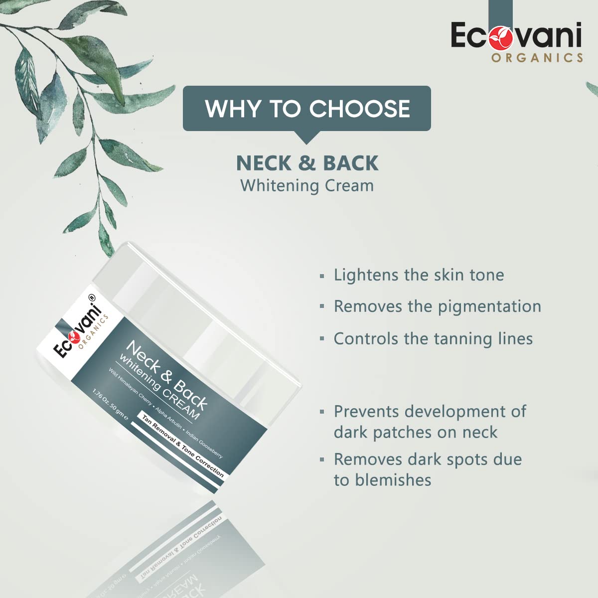 ECOVANI Neck & Back Whitening Cream for Dark Spots - Organic Skin Brightening & Tone Correcting Formula with Tan Removal - 50g (Pack of 1) - Perfect for Uneven Skin Tone on Neck, Back & Body Areas