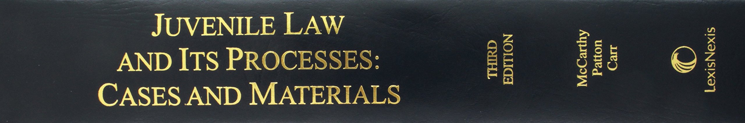 Juvenile Law and Its Processes: Cases and Materials - Legal Studies Textbook for Students & Professionals | Courtroom Scenarios & Case Analysis
