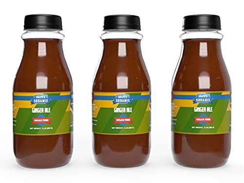Sugar Free Ginger Ale Sparkling Water - 3 Pack (12oz Bottles) | Ralph's SodaMix Flavors | Perfect for Keto Diet, Healthy Refreshment & Party Drinks