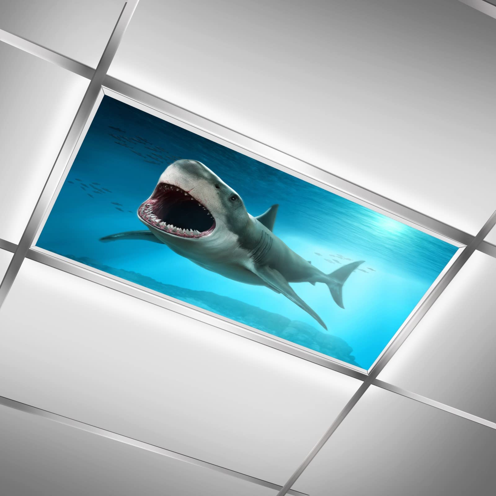 Ocean Fish Shark LED Ceiling Light Cover - Fluorescent Light Diffuser for Classroom & Office - Skylight Film Filter Reduces Eye Strain & Headaches - Decorative Lighting Solution for Relaxing Underwater Ambiance