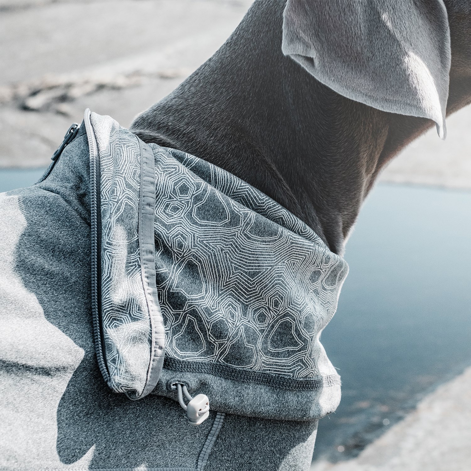 Hurtta Body Warmer Dog Recovery Suit - Carbon Grey Size 14S | Post-Surgery Protection & Cold Weather Outfit for Dogs | Perfect for Winter Walks & Vet Visits