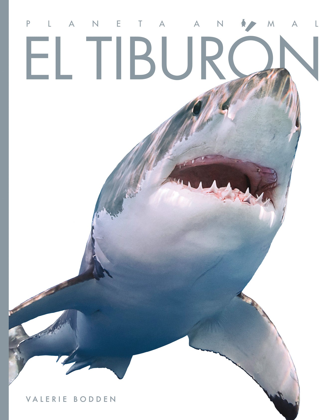 El Tiburon 9781640262669 - Shark Book for Kids, Educational Marine Life Reading, Perfect for Classroom & Home Learning