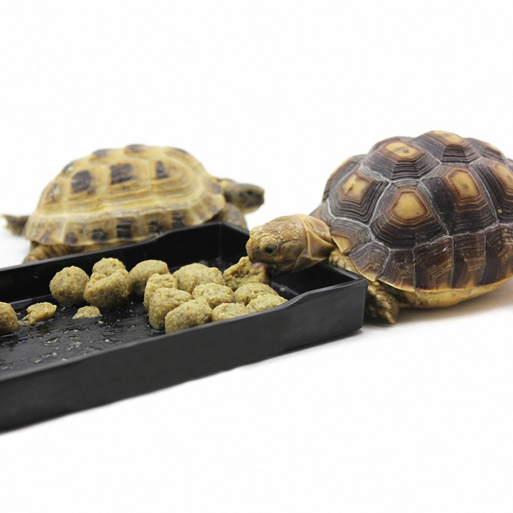 OMEM Large Reptile Food & Water Dish - Tortoise Bowl for Feeding, XL Size, White Lattice Design - Perfect for Turtles, Lizards & Amphibians in Terrariums & Habitats