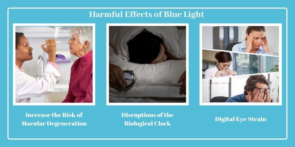 ProEyes Pictor Blue Light Blocking Reading Glasses - Spring Hinge Design with Anti-Reflective Resin Lenses (0 Magnification) - Perfect for Computer Use, Gaming & Digital Eye Strain Relief