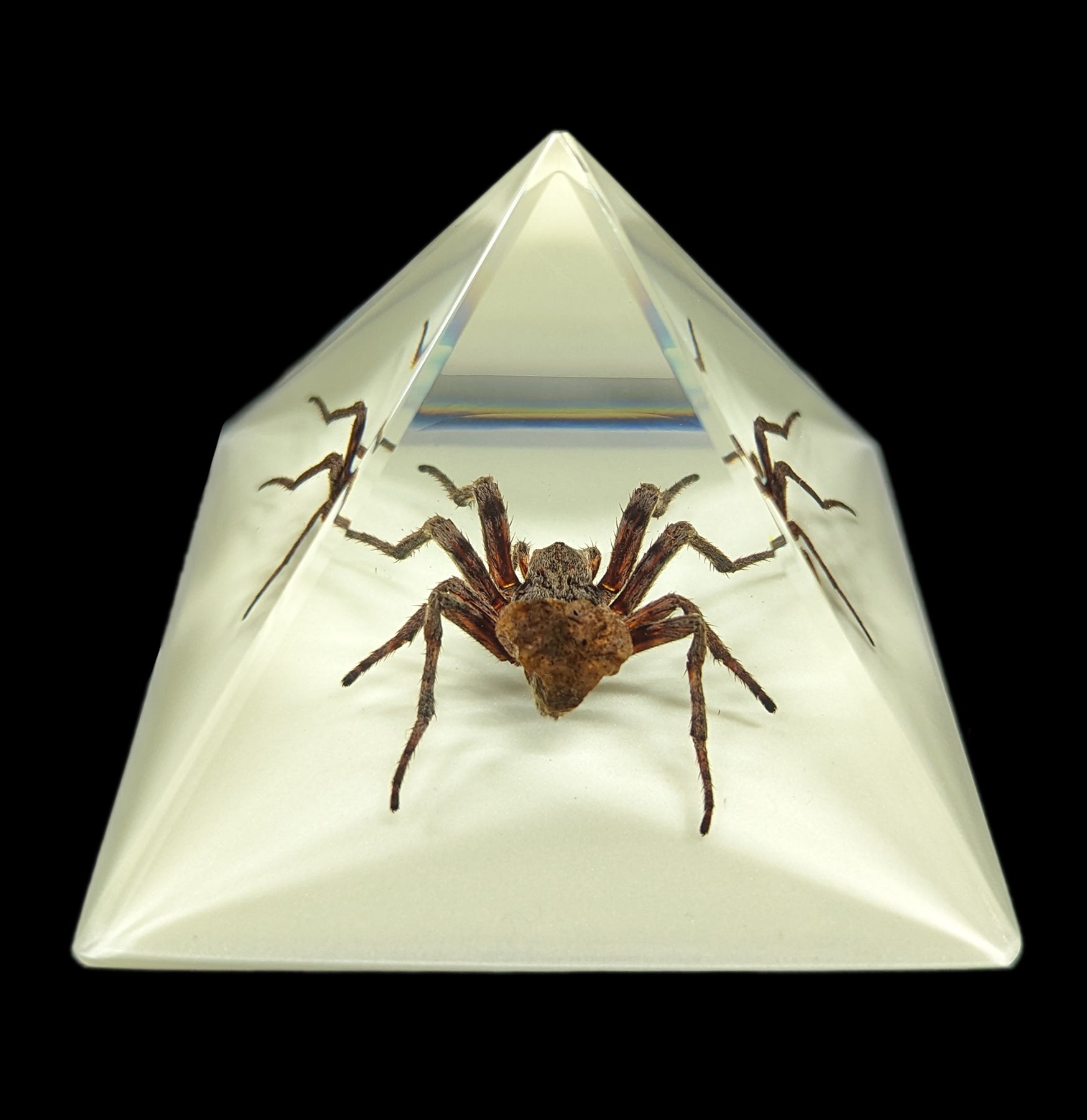 Glow in The Dark Spider Pyramid Decor - Halloween Party Decoration, Scary Home Decor for Spooky Nights & Themed Events