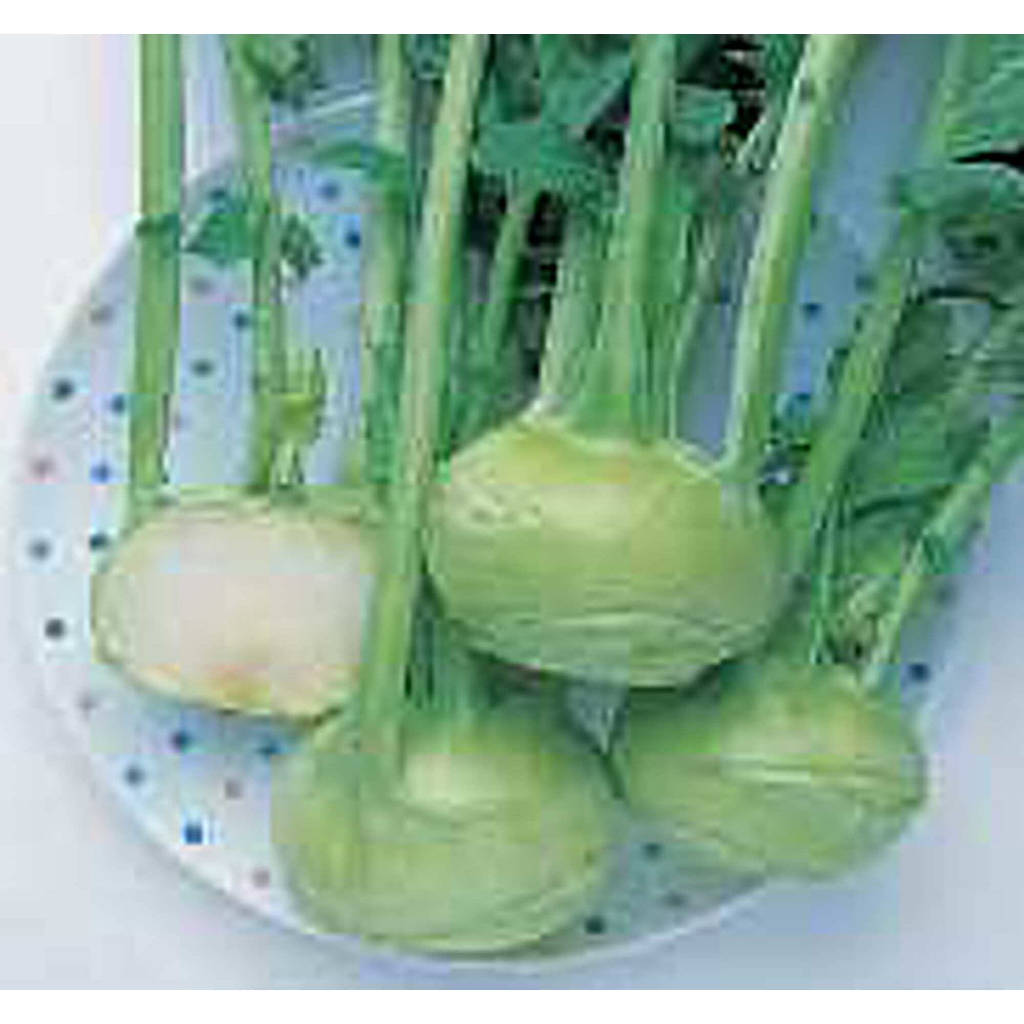 Winner Kohlrabi Seeds (20+ Seeds) | Non-GMO Vegetable Seeds for Planting | Home Garden, Greenhouse, or Container Gardening | Fresh & Organic Kohlrabi for Salads, Stir-Fries & Healthy Snacks