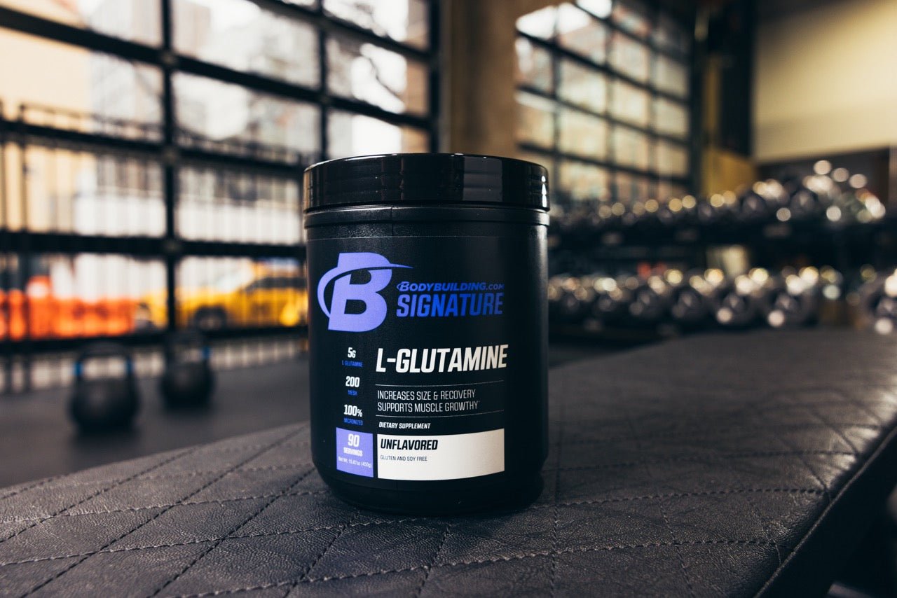 3 Pack Bodybuilding.com Signature L-Glutamine Powder - 270 Total Servings for Muscle Recovery & Performance - Pre & Post Workout Supplement for Athletes & Fitness Enthusiasts