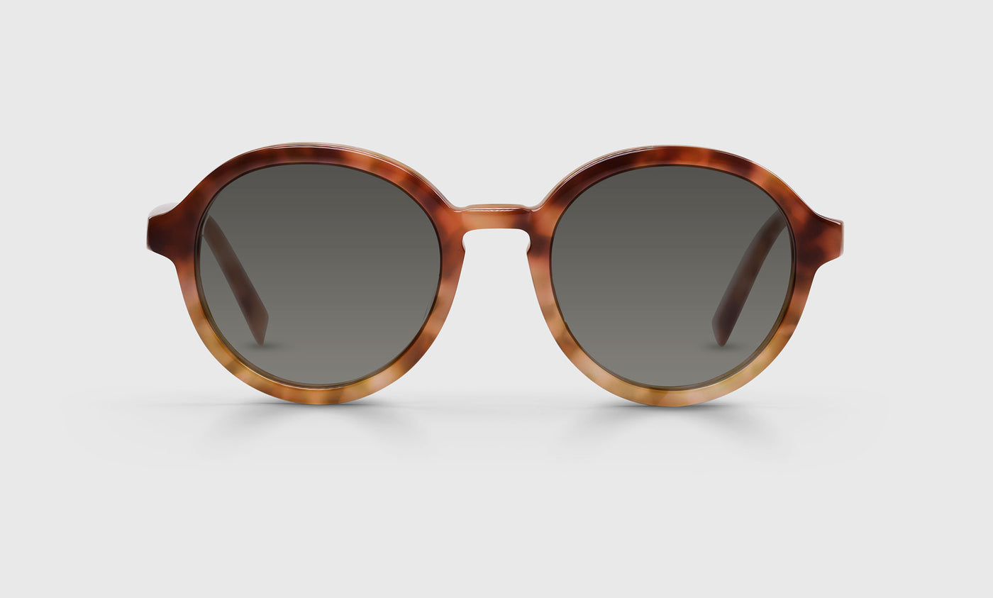 19 - Caramel Tortoise Fade Front and Temples