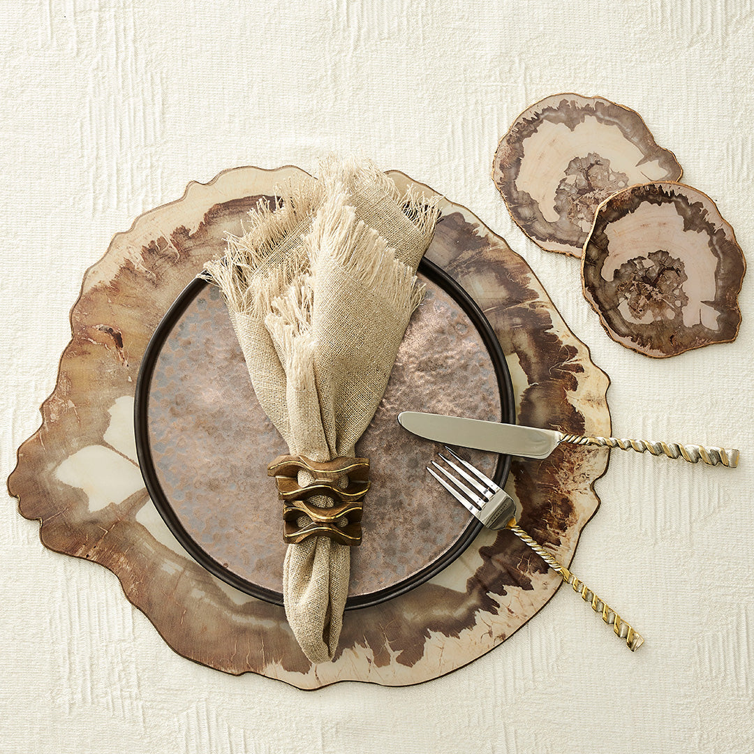 Natural Petrified Wood Coasters Set of 4 - Unique Stone Drink Coasters for Home Bar, Coffee Table & Outdoor Patio Decor