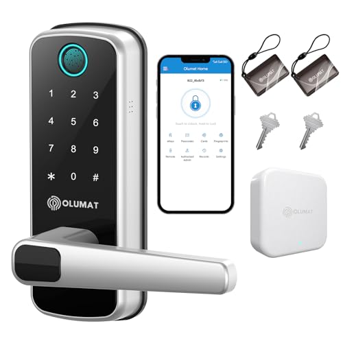 Silver Smart Lock+WiFi Gateway