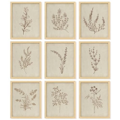 Botanical