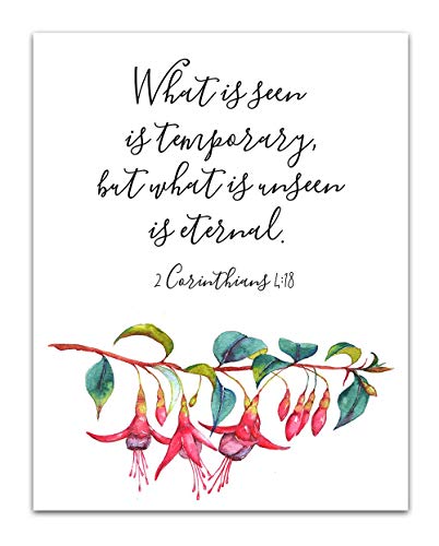 2 Cor 4:18 - Fuchsia globosa