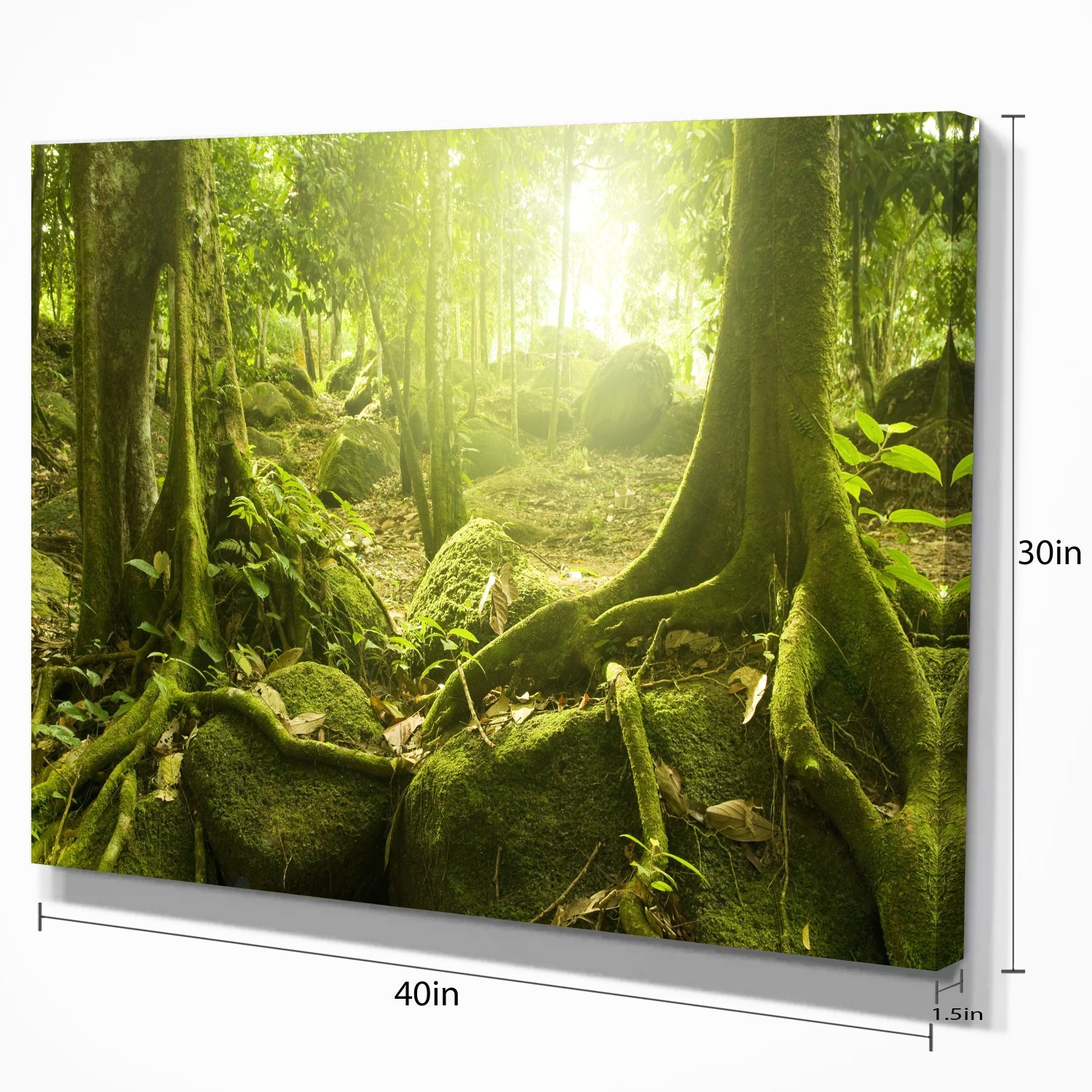 Green Forest with Sun Landscape Photography Canvas Print - Nature Wall Art for Living Room, Bedroom & Office Decor