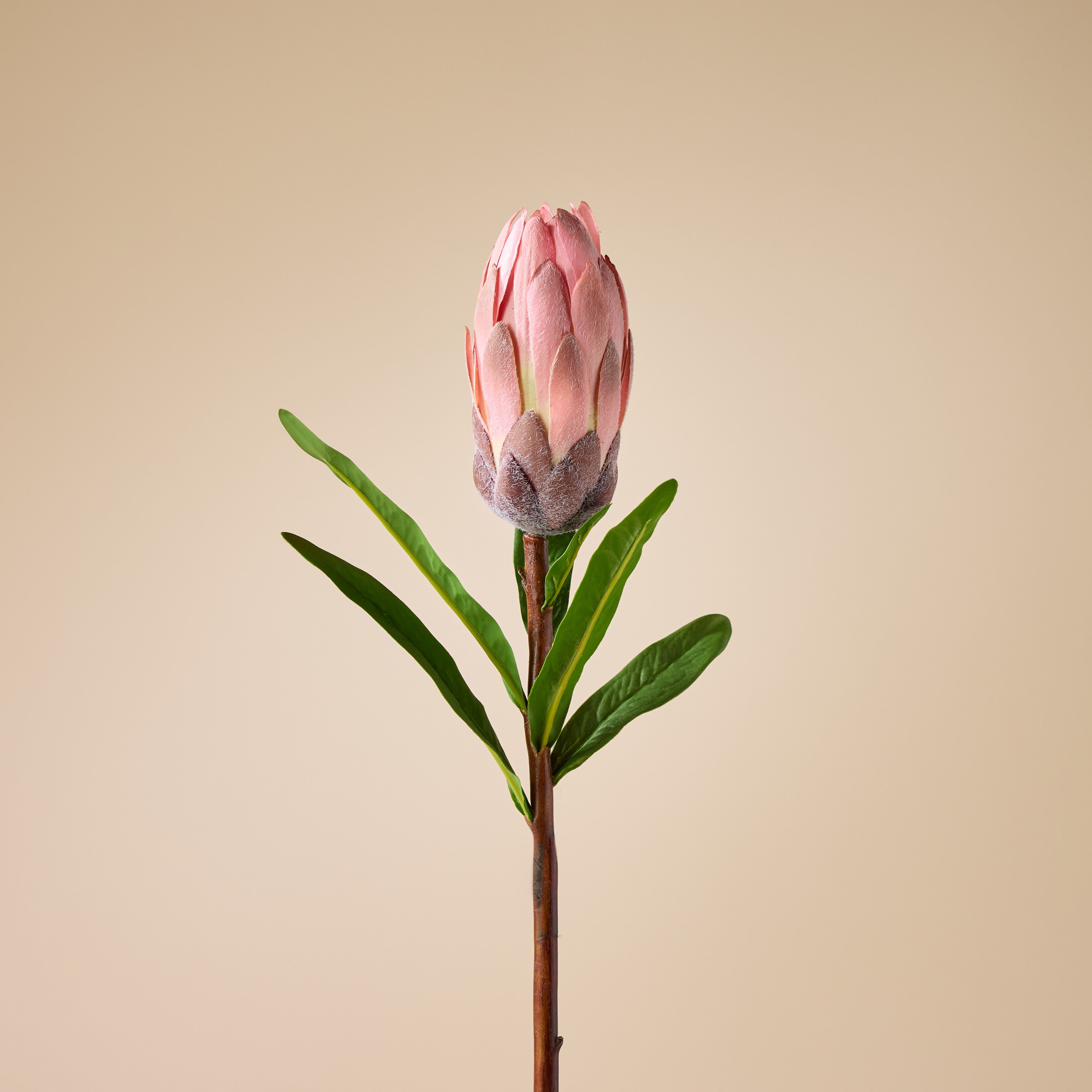 Artificial Flocked Protea Flower Stem | Pink 24