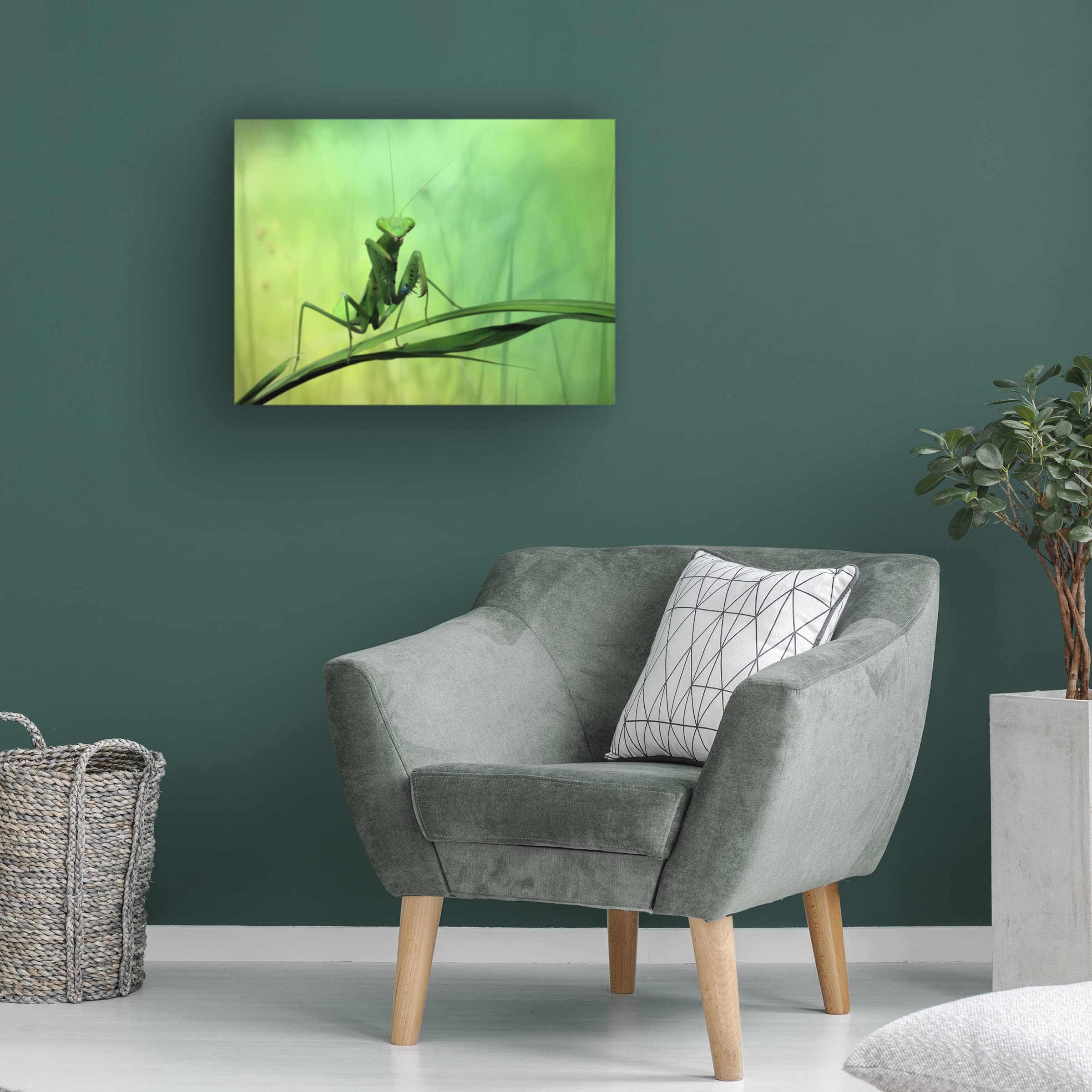 Jimmy Hoffman 'Hi There' Canvas Art Print - Modern Wall Decor for Living Room, Bedroom & Office | Trademark Fine Art Collection