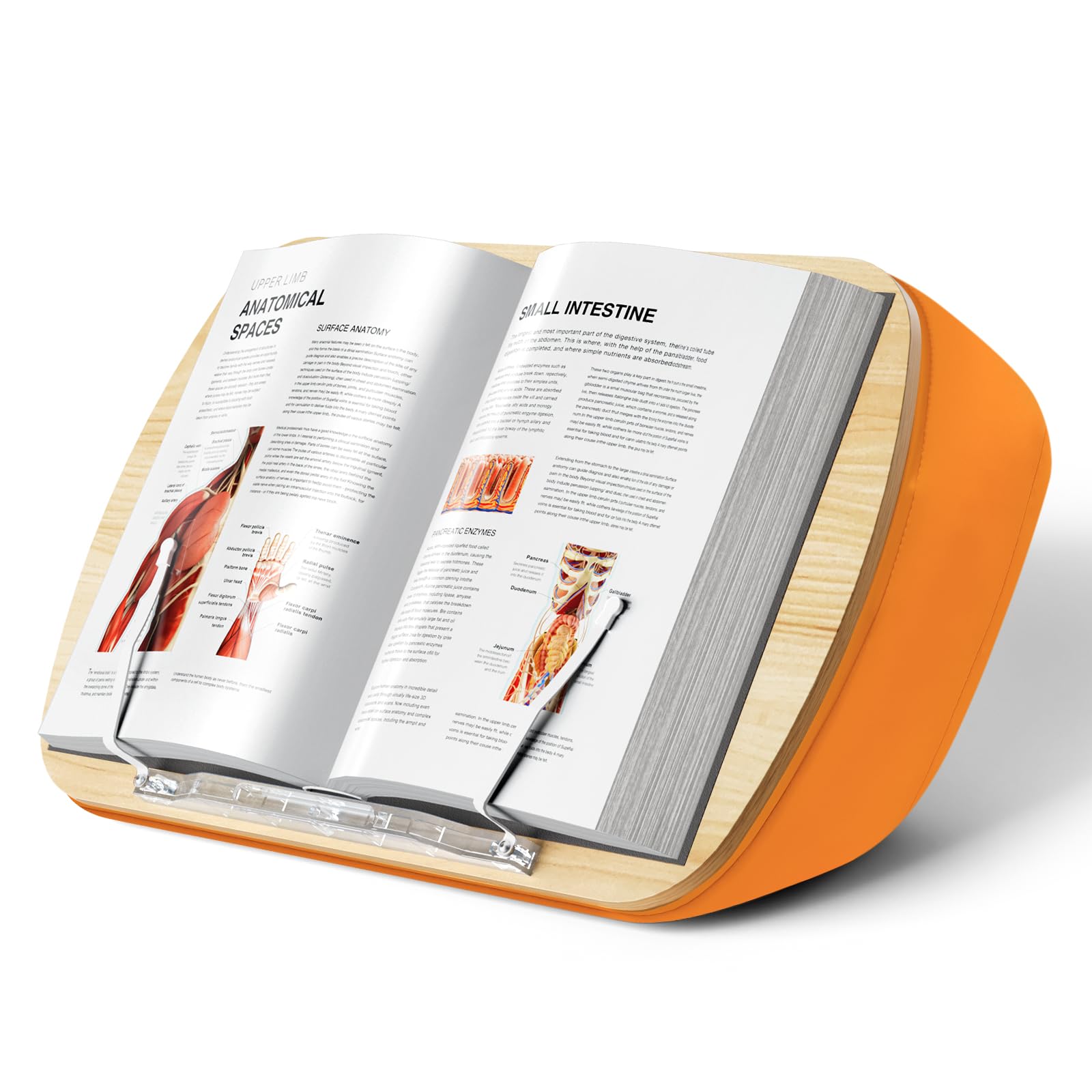 Ergonov Adjustable Book Stand & Reading Pillow for Kindle, iPad, Tablet - Comfortable Beanbag Base for Bed, Desk, Sofa - Reduces Neck Strain - Perfect Gift for Book Lovers (Orange) - Ideal for Cozy Reading, Studying, and Relaxing at Home