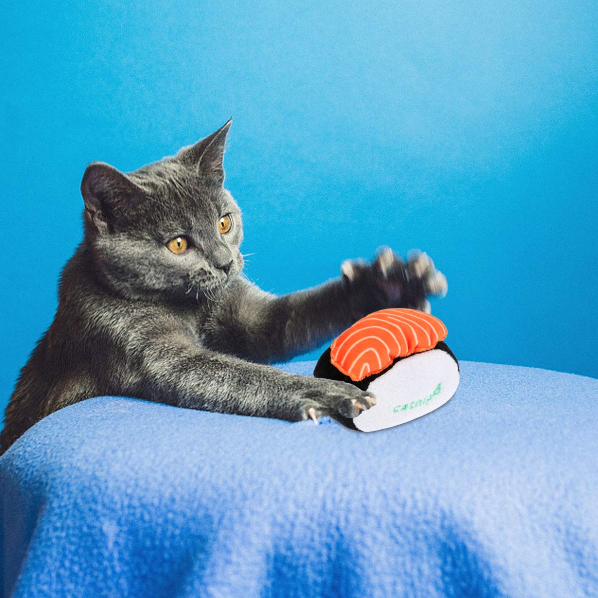 6pcs Interactive Chew Toys for Puppies & Kittens - Pet Teething Toys for Dogs & Cats, Dental Training, Fetch & Play - Perfect for Puppy Teething, Kitten Playtime & Small Pet Entertainment
