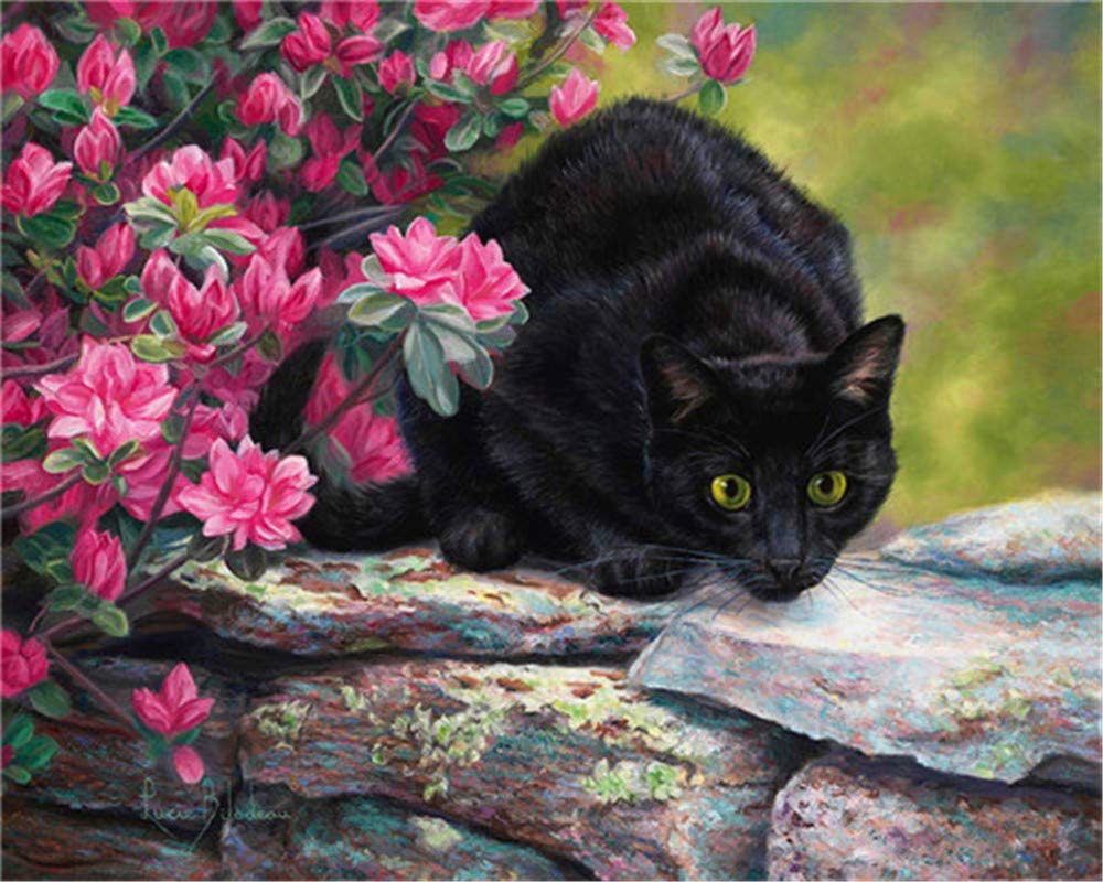 DIY Oil Painting by Numbers Kit for Adults Beginners - 16x20 Inch Cute Black Cat Art with Brushes & Frame | Christmas Home Decor, Wall Art & Gift Idea for Cat Lovers